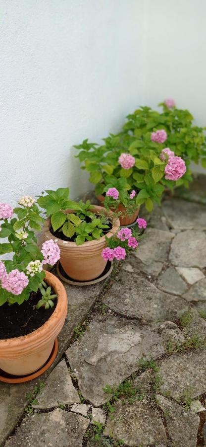 Apartment Silvija Vinisce ภายนอก รูปภาพ