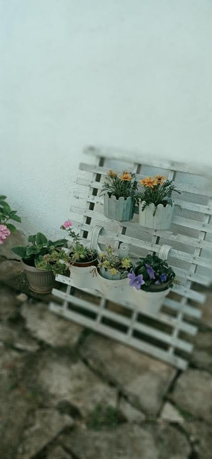 Apartment Silvija Vinisce ภายนอก รูปภาพ